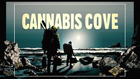 Cannabis Cove: Operation Seal Bay