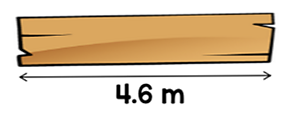A plank of wood 4.6 metres long.