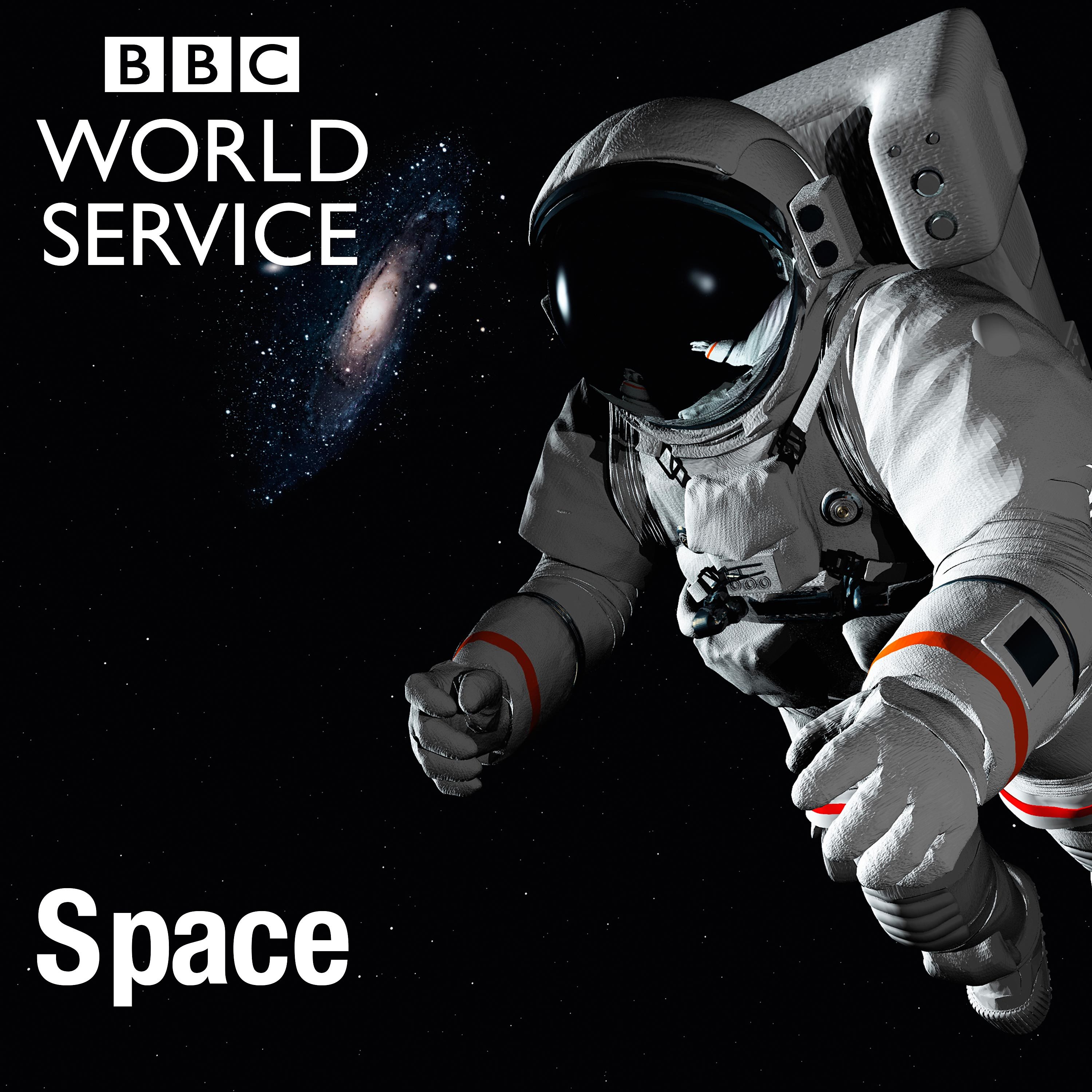 The First Woman In Space
