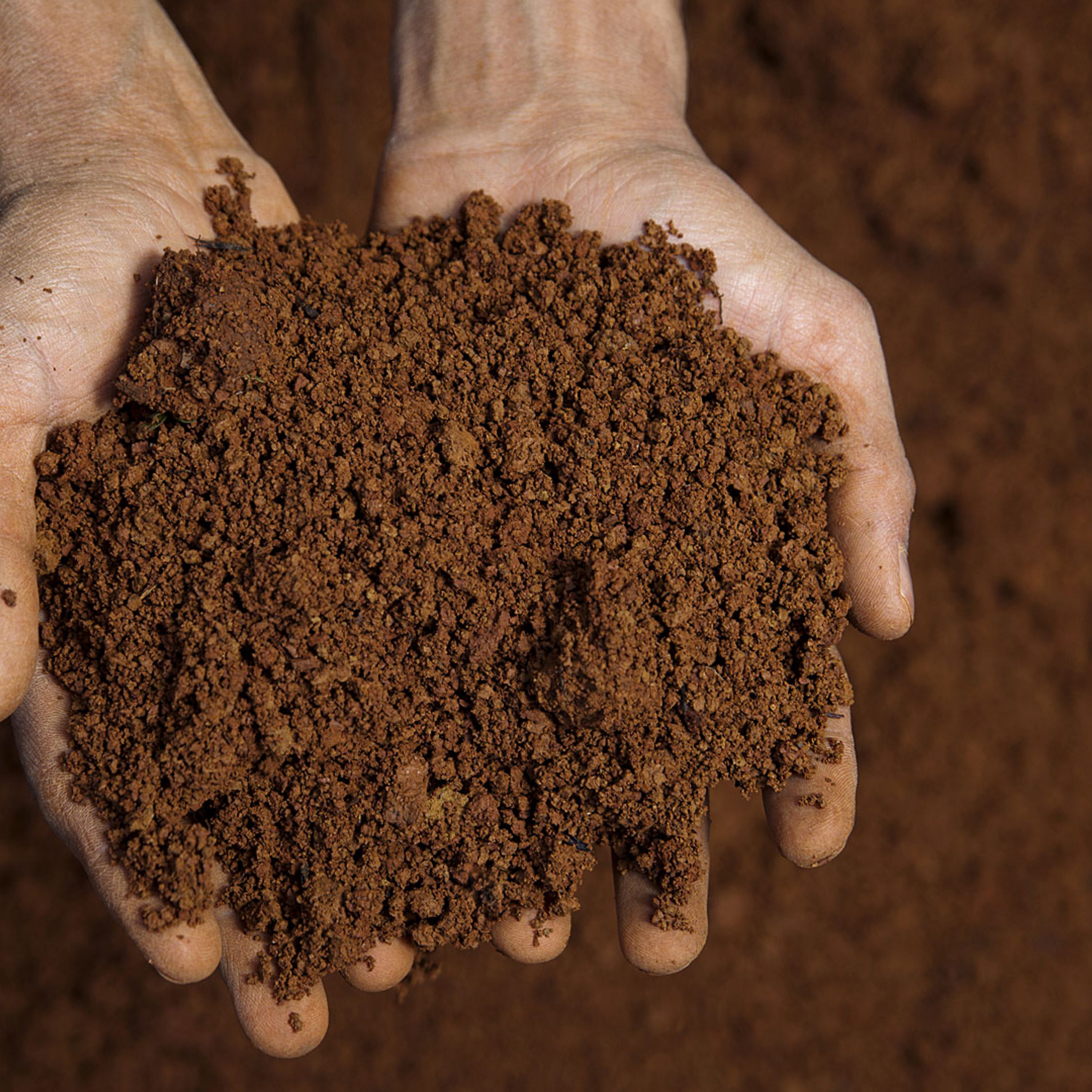 Why do some people eat soil?