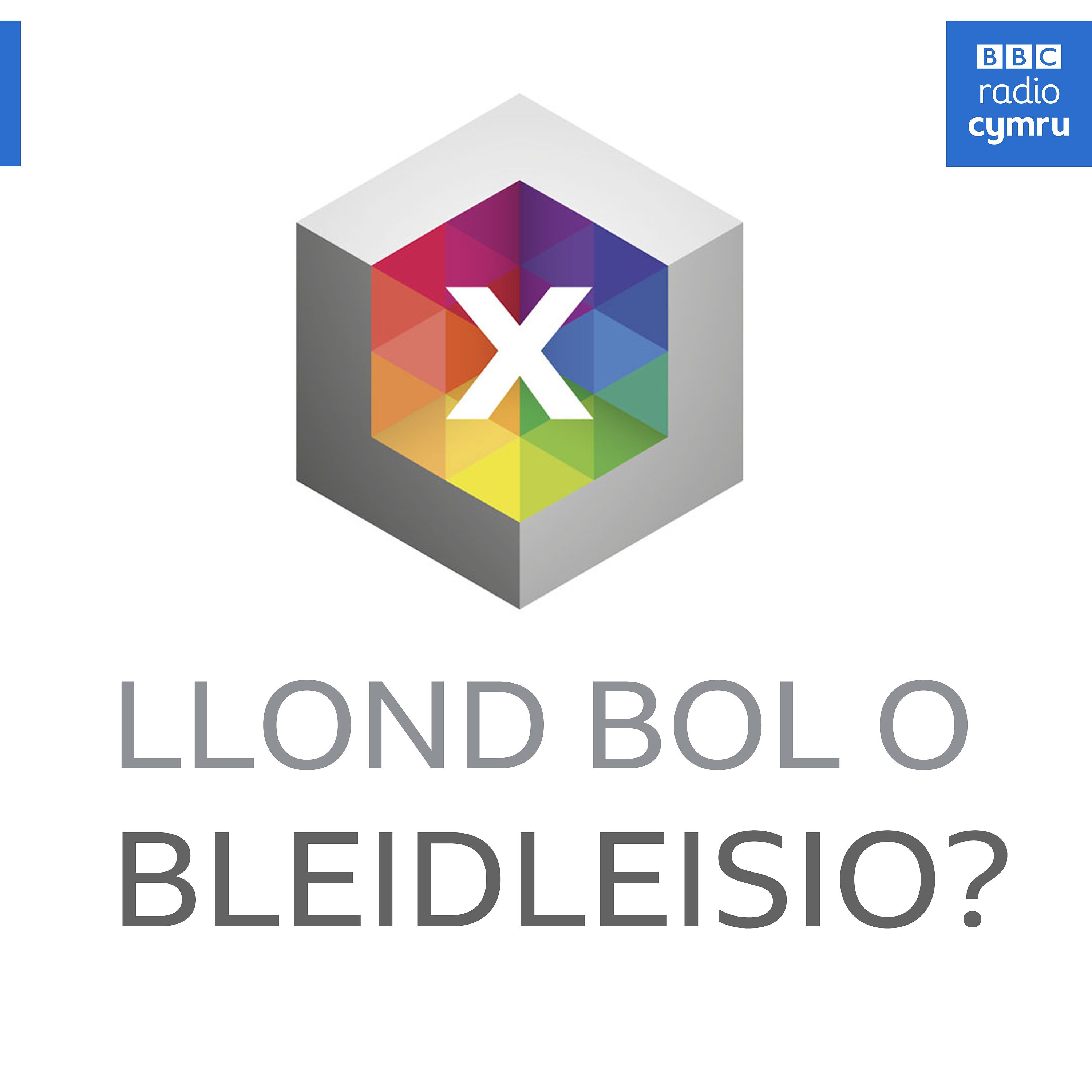 Llond Bol o Bledleisio