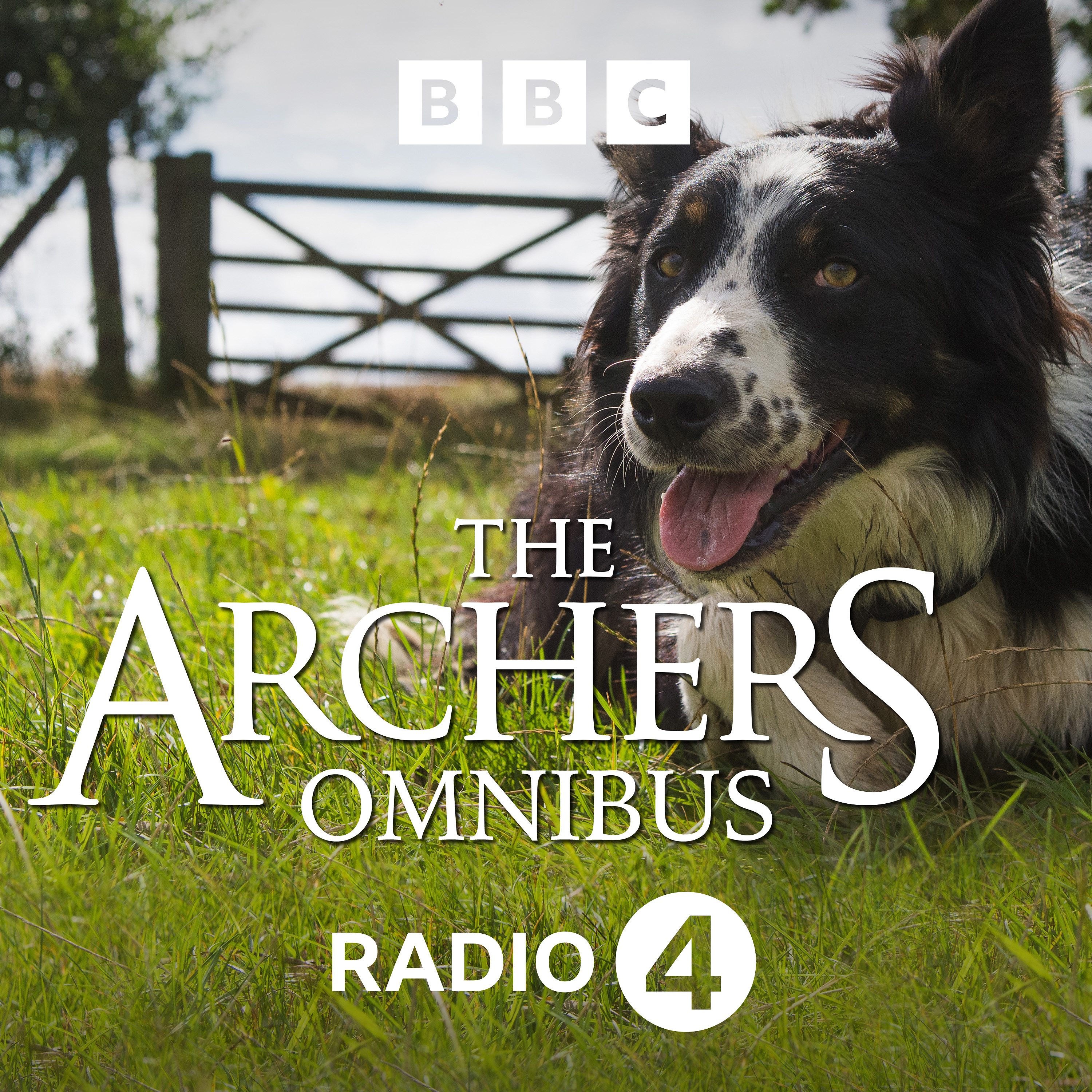 All Episodes Of The Archers Omnibus Chartable 1567