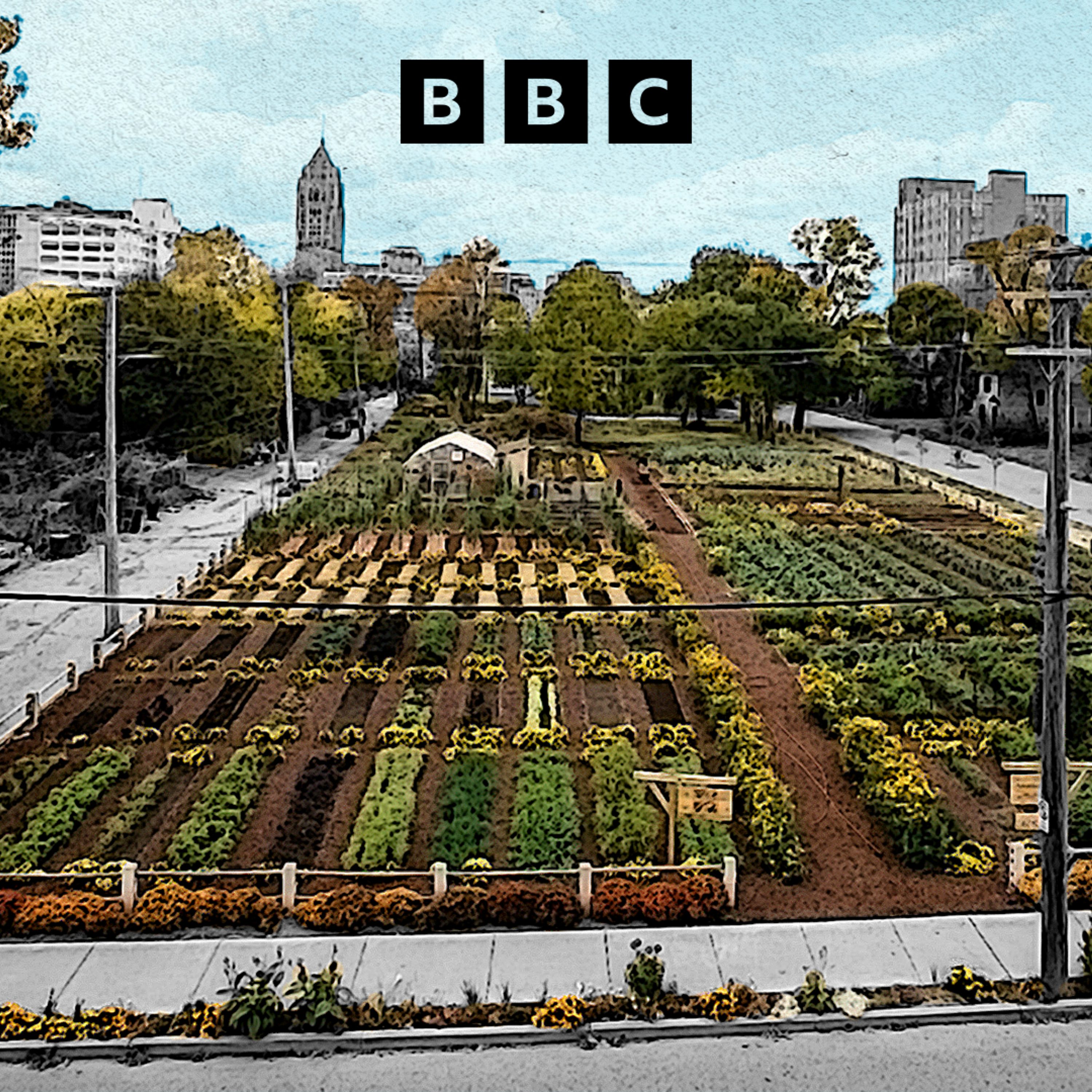 Detroit's urban farmers