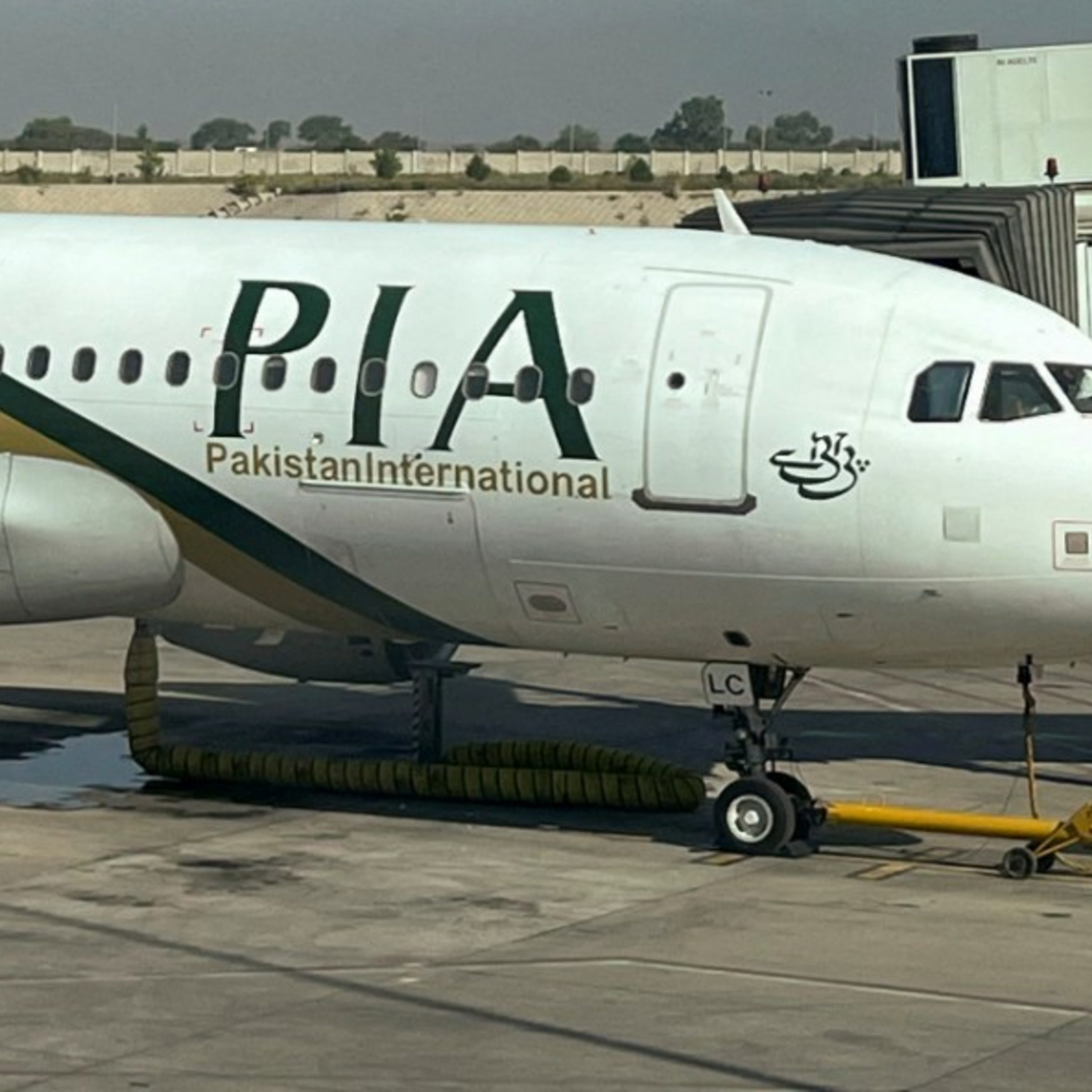 Pakistani auctions its state airline live on TV