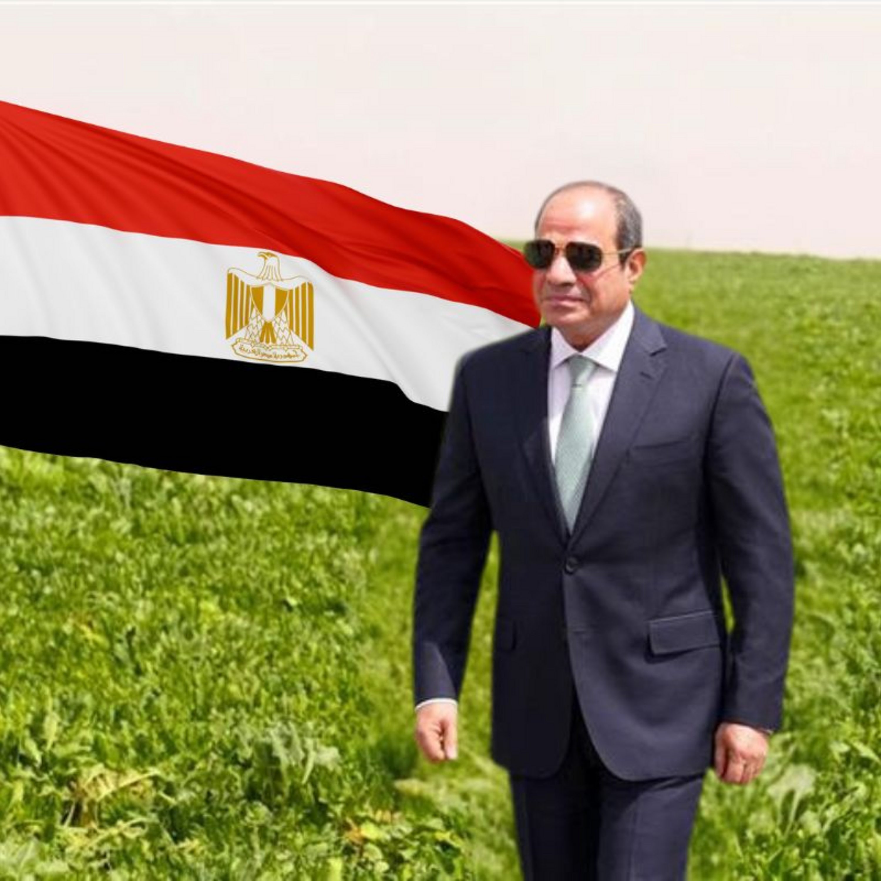 ما أهداف مشروع الدلتا الجديدة في مصر؟ وهل هي واقعية؟ episode artwork