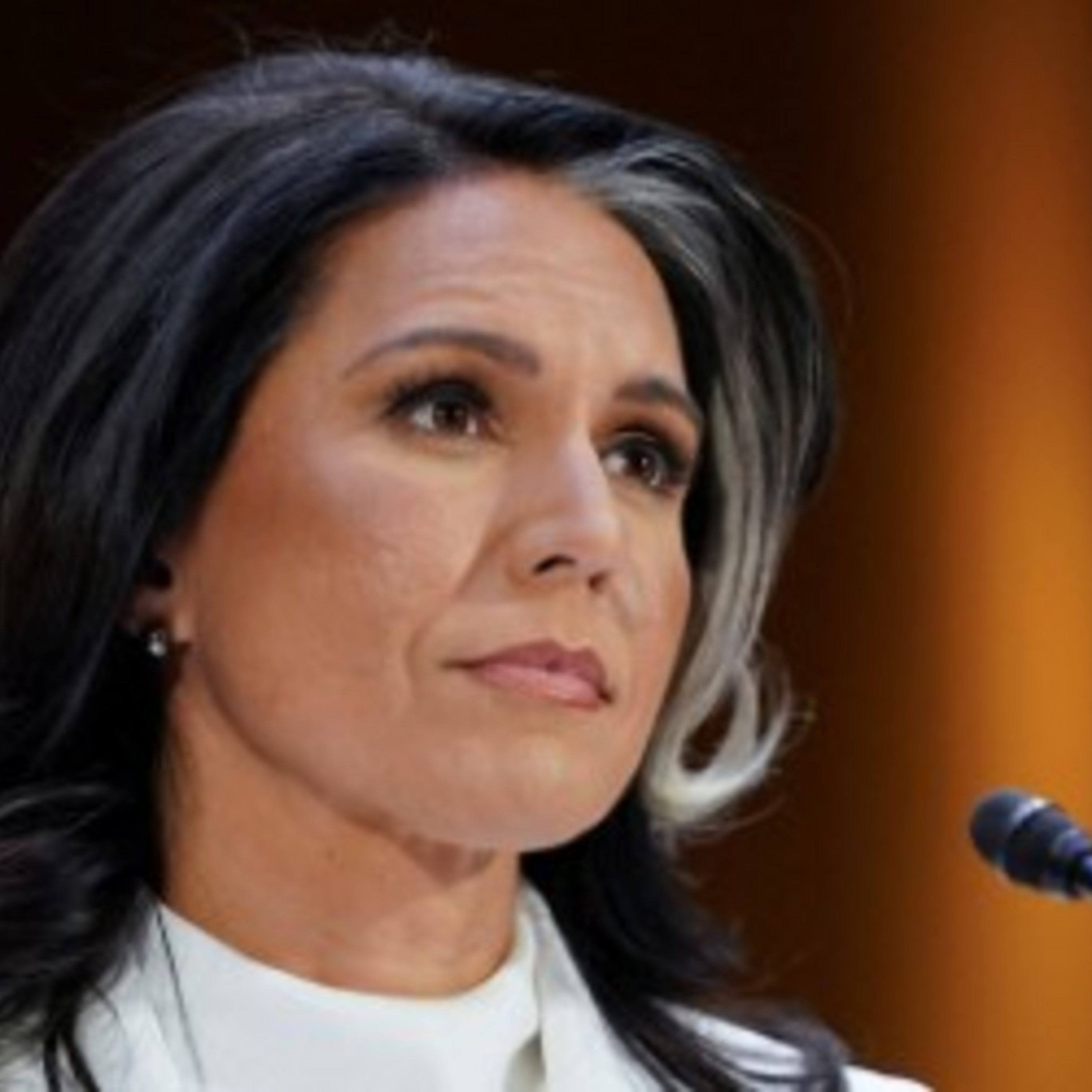 Tulsi Gabbard resigns as US national intelligence director Episode cover