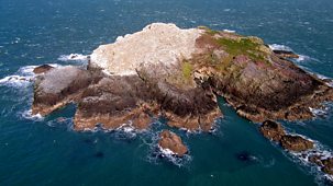 Wild - 2006-07 Shorts: 16. Shearwater Island