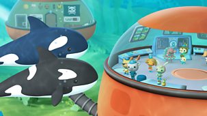 Octonauts - Series 1 - The Crab And Urchin