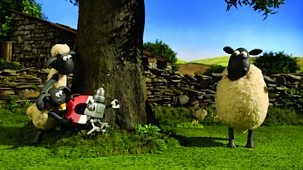 Shaun The Sheep - Series 2 - The Magpie