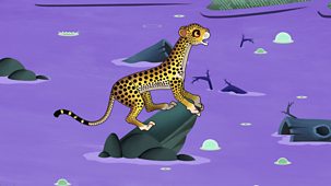 Tinga Tinga Tales - Series 2 - Why Cheetah Has Tears