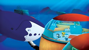 Octonauts - Series 2 - Bowhead Whales