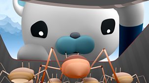 Octonauts - Series 3 - Sea Skaters