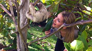 Naomi's Nightmares Of Nature - Series 2 - Costa Rica Jungle