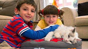 Topsy And Tim - Series 2 - Lost Cat