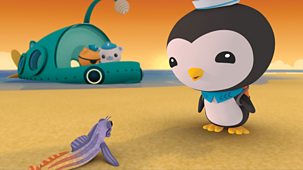 Octonauts - Series 1 - The Comb Tooth Blenny