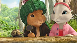 Peter Rabbit - 41. The Tale Of The True Friends