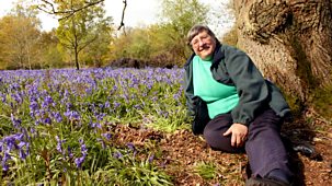 Great British Garden Revival - Series 2: 8. Lilies And Woodland Gardens