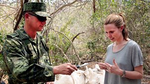 Stacey Dooley Investigates - Series 6: 1. Meth And Madness In Mexico