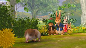 Peter Rabbit - Series 2: 29. The Tale Of The Saving Of The Shrew