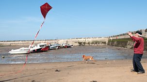 Old Jack's Boat - Rockpool Tales: 9. The Big Red Kite