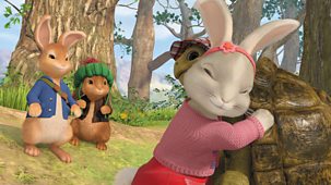 Peter Rabbit - Series 2: 46. The Tale Of The Great Tortoise Rescue