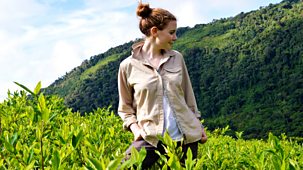 Stacey Dooley Investigates - New Drug Frontiers: 1. Cocaine Capital Of The World