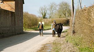 Down On The Farm - Series 2: 3. Calving And Asparagus