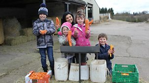 Down On The Farm - Series 2: 4. Carrots And Alpacas