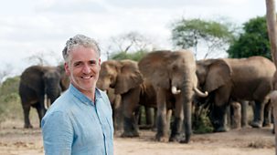Gordon Buchanan: Elephant Family & Me - Episode 2