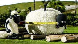 Shaun The Sheep - Series 1 - Shape Up With Shaun