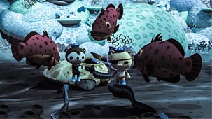 Octonauts - Series 4: 19. Octonauts And Operation Cooperation