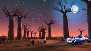 Go Jetters - Series 2: 7. Avenue Of The Baobabs, Madagascar