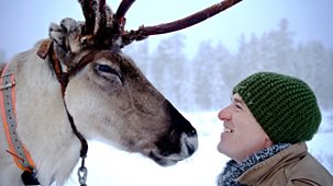 Reindeer Family & Me - Episode 26-11-2021