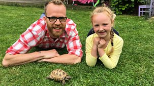 Ferne And Rory's Vet Tales - Series 1: 7. Turbo The Tortoise