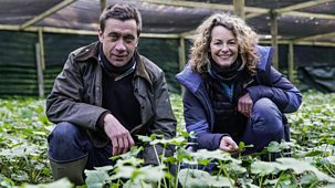 Back To The Land With Kate Humble - Series 2: Episode 8