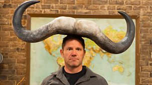 Deadly Dinosaurs With Steve Backshall - Series 1: 4. Freak Or Unique