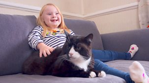 Ferne And Rory's Vet Tales - Series 2: 7. Frank The Cat