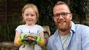 Ferne And Rory's Vet Tales - Series 2: 18. Norma The Tortoise
