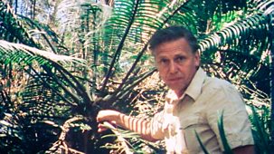 Life On Earth - 3. The First Forests