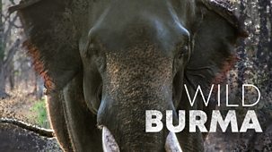 Wild Burma: Nature's Lost Kingdom - Episode 1