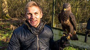 Countryfile - Winter Wildlife Rescue Compilation
