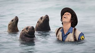 Andy's Safari Adventures - Series 1: 28. Andy And The Sea Lions