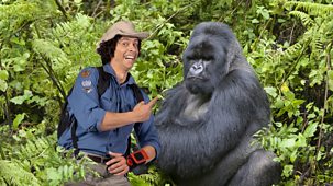 Andy's Wild Adventures - Series 1: 6. Mountain Gorillas