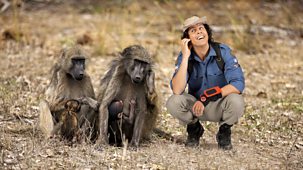 Andy's Wild Adventures Catch up, Series 2 - Marsupials on CBEEBIES