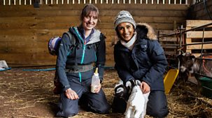 Countryfile - Holnicote Estate