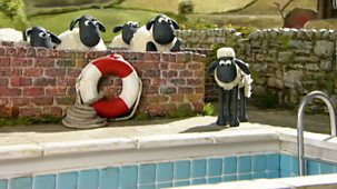 Shaun The Sheep - Series 1 - Bathtime
