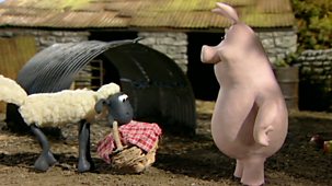 Shaun The Sheep - Series 1 - Scrumping