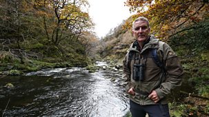 Iolo: The Last Wilderness Of Wales - Series 1: Episode 3