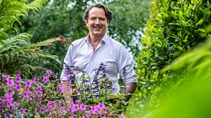 Gardening Together With Diarmuid Gavin - Series 1: Episode 4
