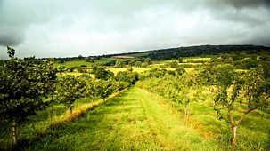 The Farmers' Country Showdown - Series 5: 10. Moseley Wine